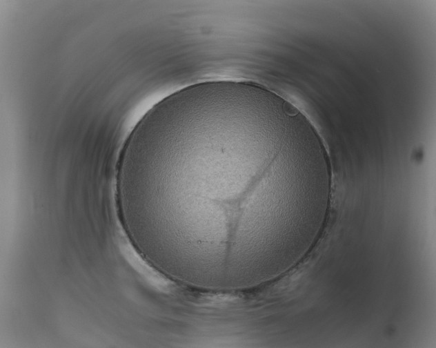 X0000111471187200907201129