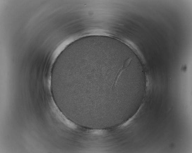 X0000111471188200907201129