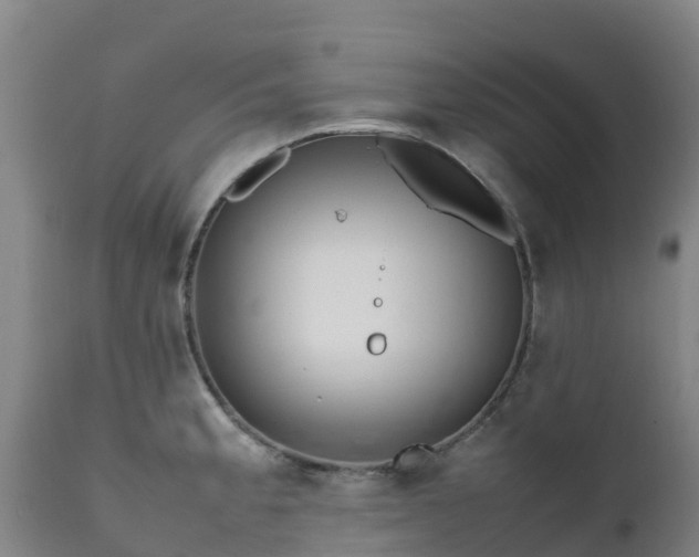 X0000111471189200907201129