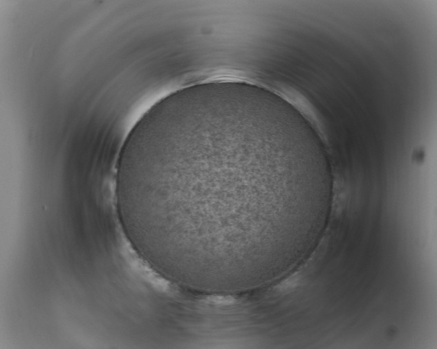 X0000111471190200907201129