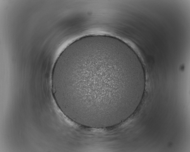 X0000111471191200907201129