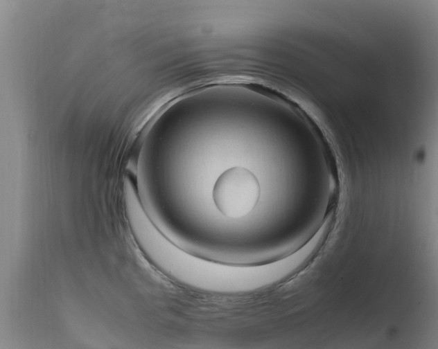 X0000111471193200907201129