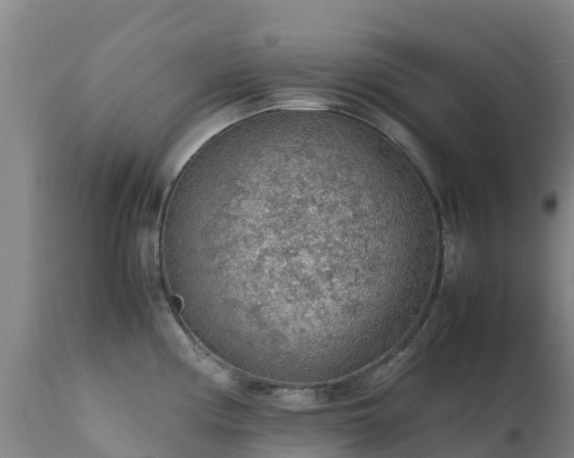 X0000111471194200907201129