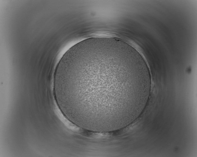 X0000111471195200907201129