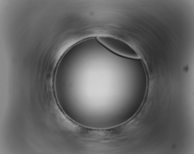 X0000111471197200907201129