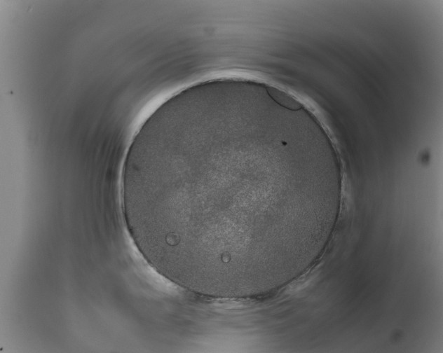 X0000111471199200907201129