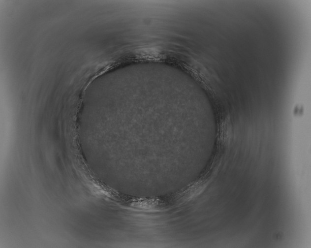 X0000111471201200907201128