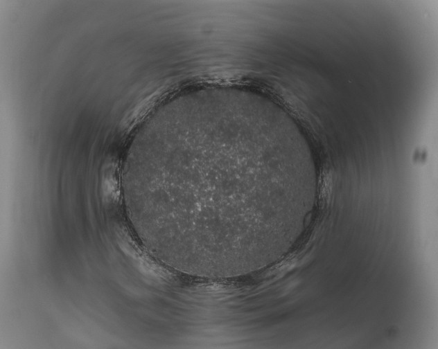 X0000111471202200907201128