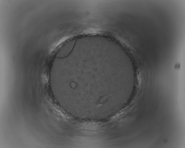 X0000111471206200907201128