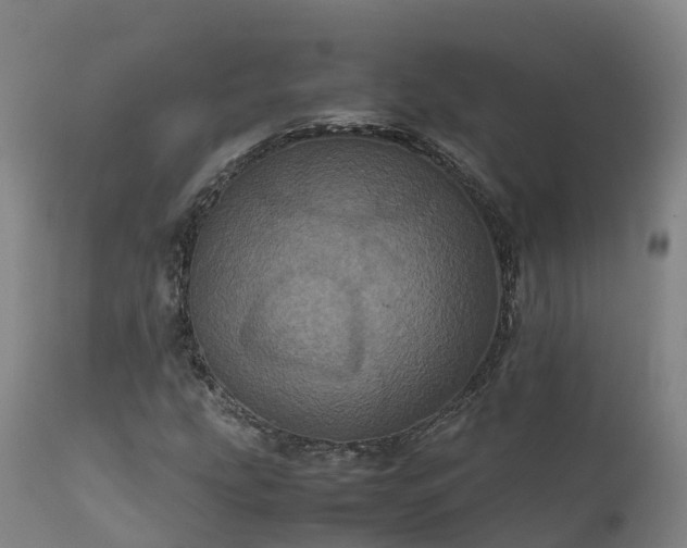 X0000111471207200907201128