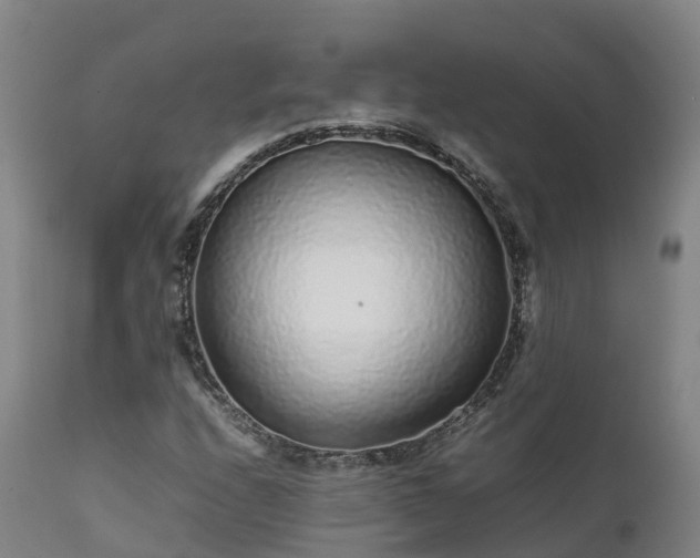 X0000111471208200907201128