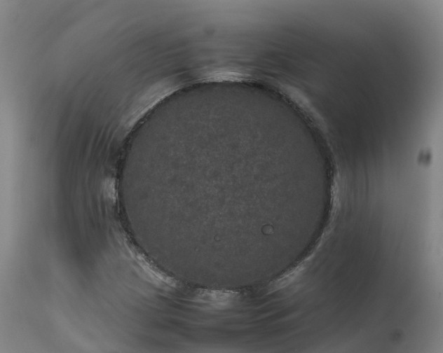 X0000111471209200907201128