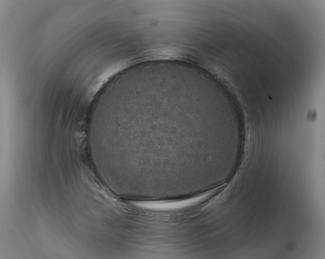 X0000111471210200907201128