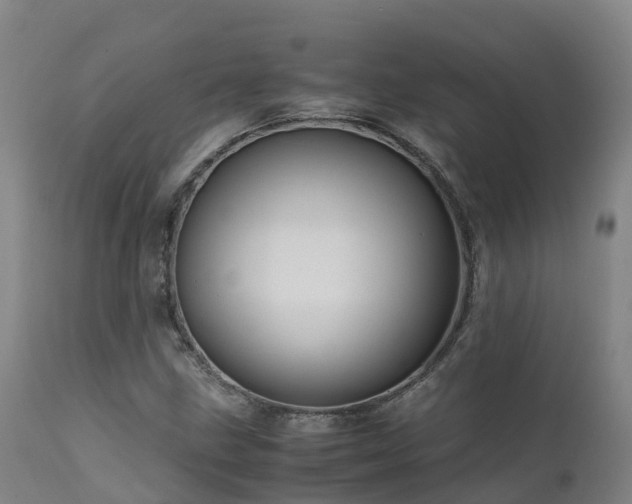 X0000111471211200907201128