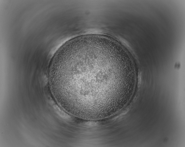 X0000111471212200907201128