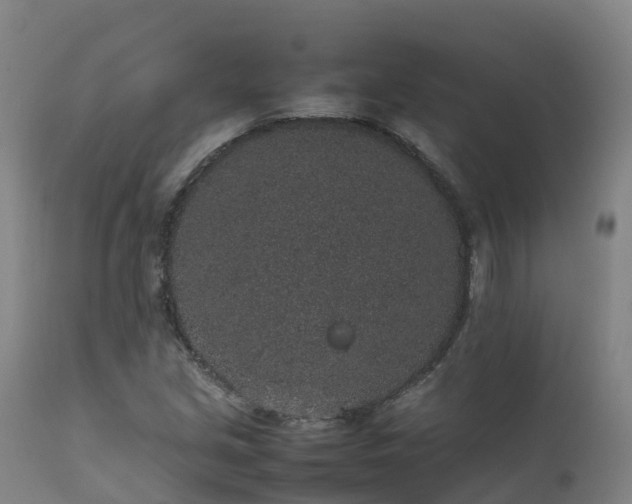 X0000111471213200907201128