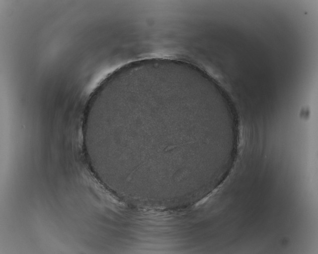 X0000111471214200907201128