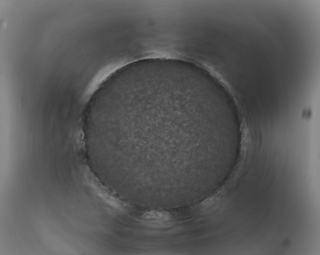 X0000111471215200907201128