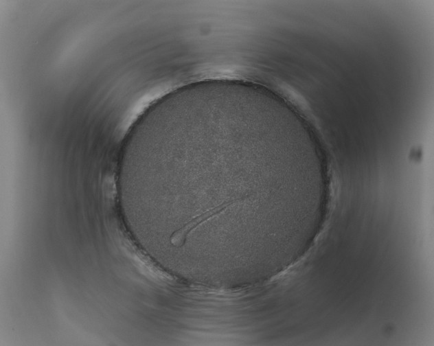 X0000111471218200907201128