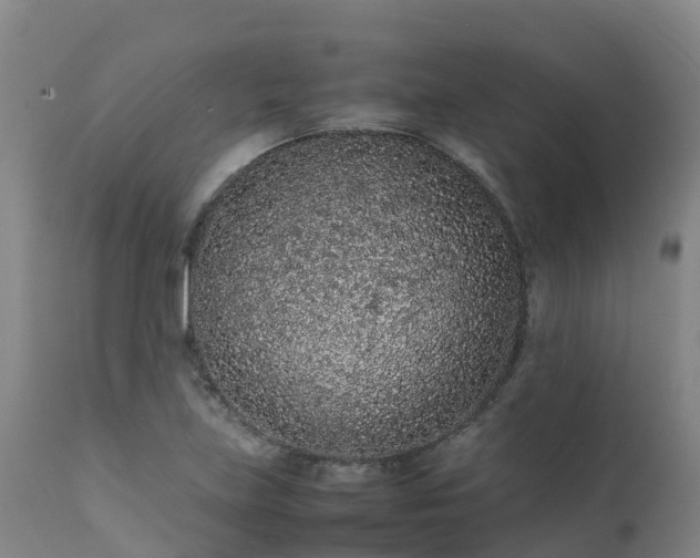 X0000111471219200907201128