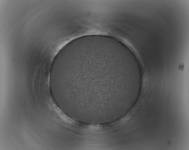 X0000111471220200907201128