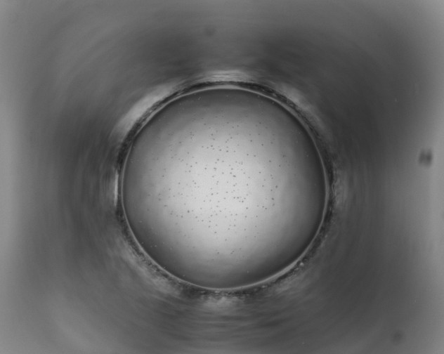 X0000111471221200907201128