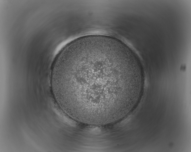 X0000111471222200907201128