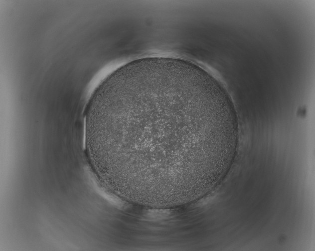 X0000111471223200907201128