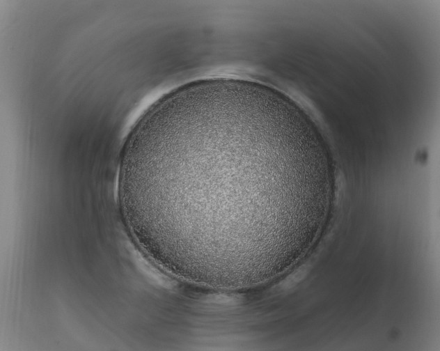 X0000111471224200907201129