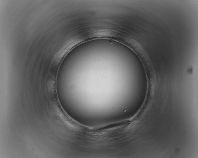 X0000111471225200907201129