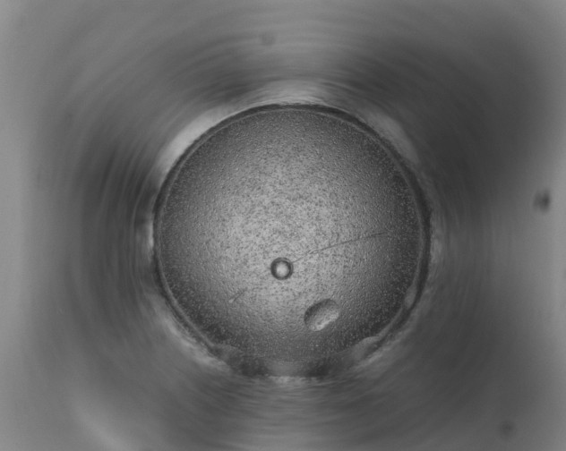 X0000111471226200907201129