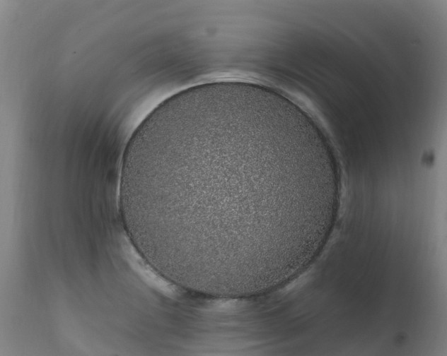 X0000111471228200907201129