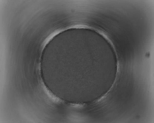 X0000111471229200907201129