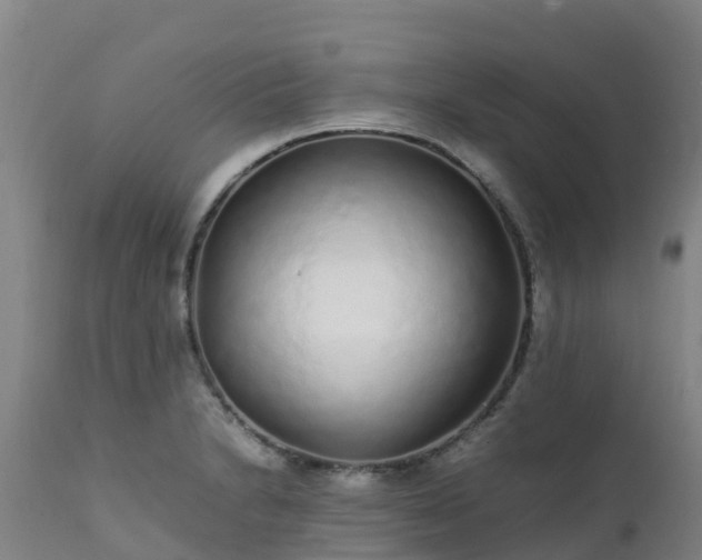 X0000111471230200907201129