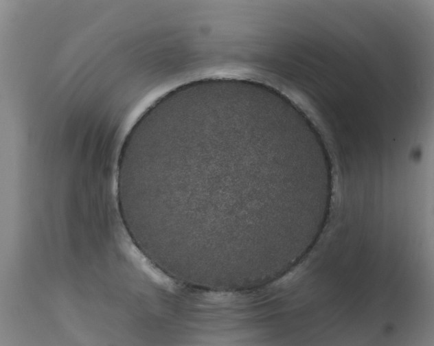 X0000111471232200907201129