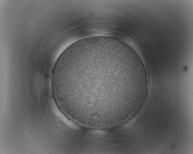 X0000111471235200907201129