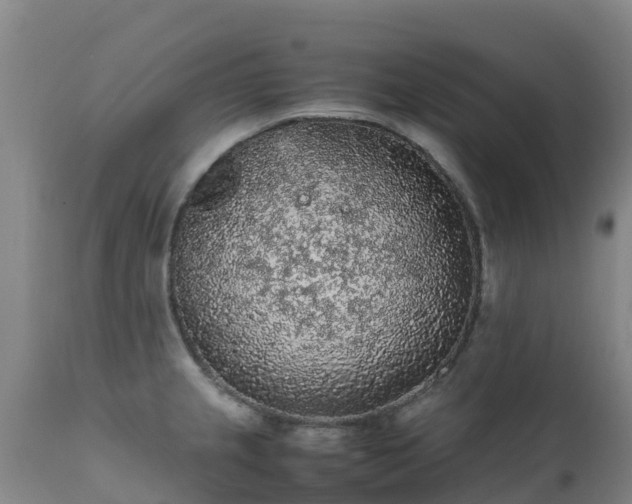 X0000111471237200907201129