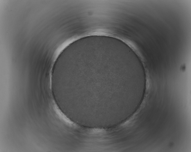 X0000111471238200907201129