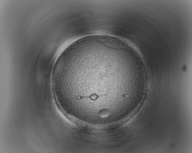 X0000111471239200907201129