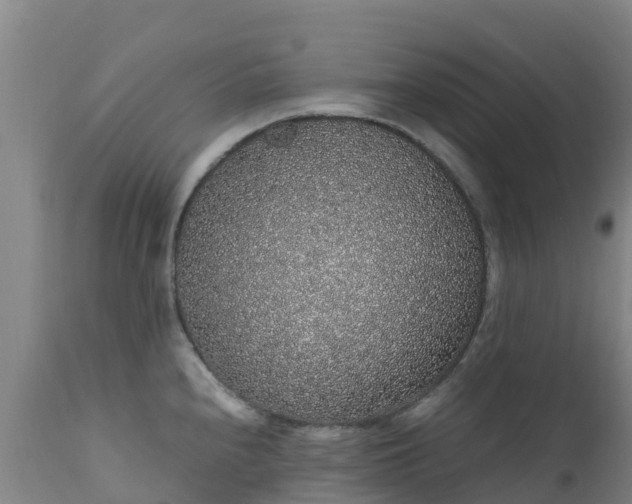 X0000111471240200907201129