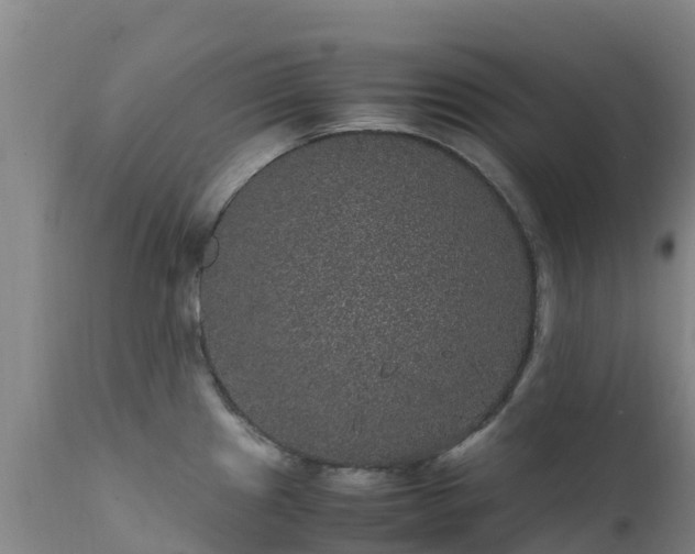 X0000111471241200907201129