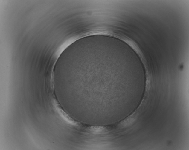 X0000111471242200907201129