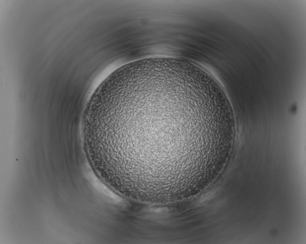 X0000111471243200907201129