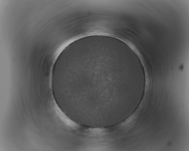 X0000111471246200907201129