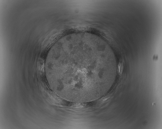 X0000111471251200907201128