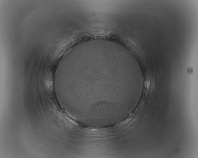 X0000111471252200907201128