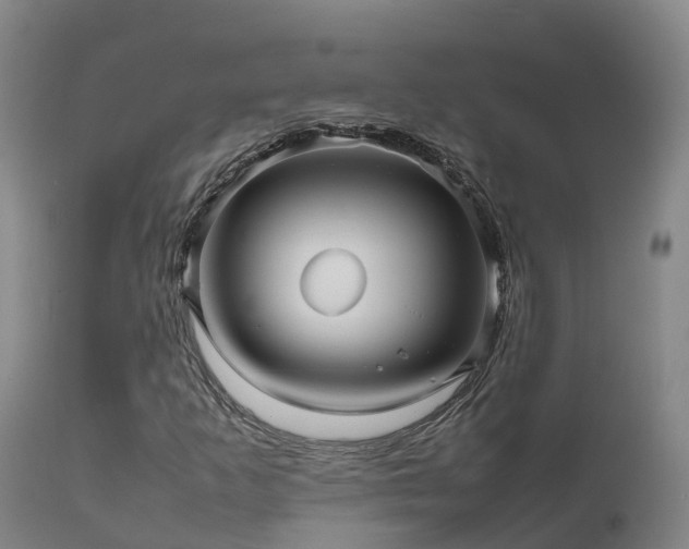 X0000111471253200907201128