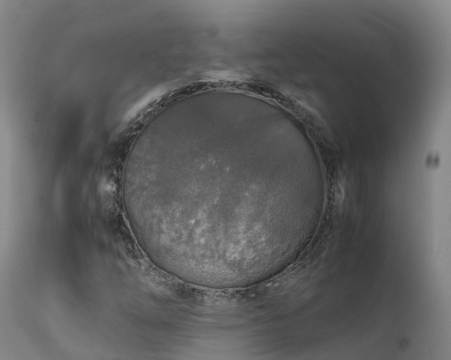 X0000111471254200907201128