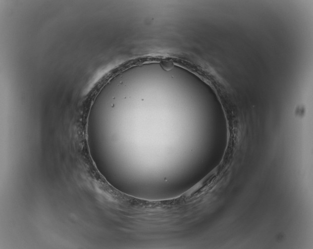 X0000111471256200907201128