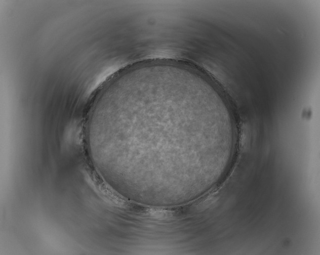 X0000111471258200907201128